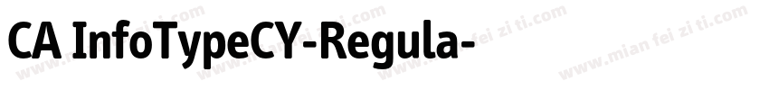 CA InfoTypeCY-Regula字体转换